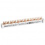 Busbar bipolar 12M 63A BSA90154 Schrack